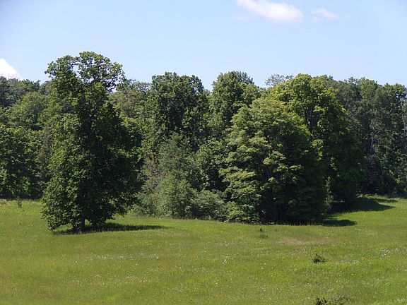 5th image of 9787 Mitchell Road 70 Acres