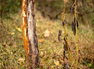 1426 Sealy Ridge Rd, Vincent, OH 45784