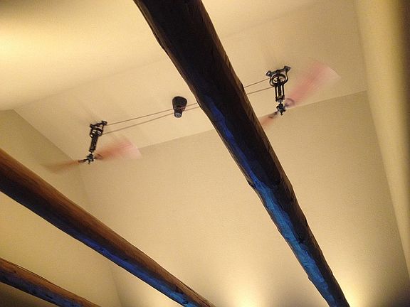 Vaulted- Yellowstone Timber