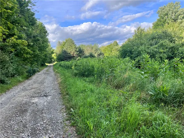 S Greenbush Rd Lot 9, Erin, NY 14838