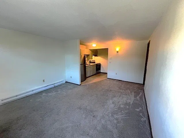 1 bed, $1,000 — Photo 2