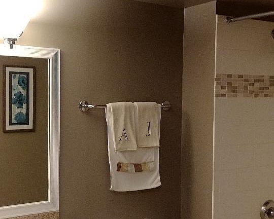3rd image of 9655 Woods Dr Unit 1203