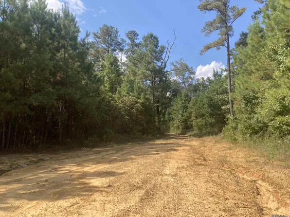 TRACT Old Jackson Ln #A, Jackson, LA 70748