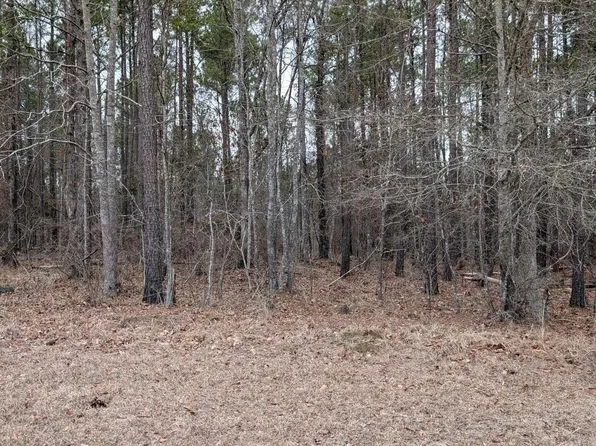 LOT 3 Retreat Way, Ridgeway, SC 29130