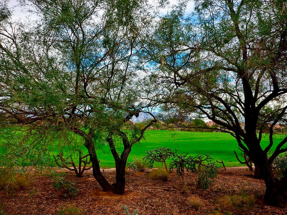 1st image of 13094 N Desert Flora Ln