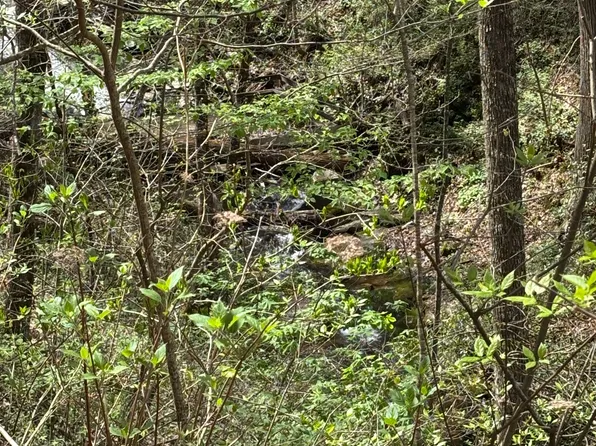 0 Laurel Br, Dawsonville, GA 30534