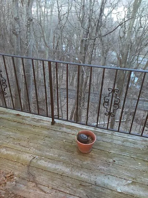 3 bed, 1.5 bath, 1450 sqft, $3,700 — Photo 3