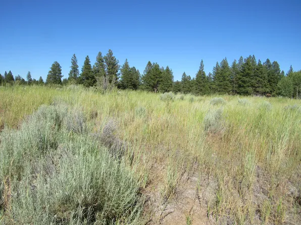 Summer Tree Ln #233802, Chiloquin, OR 97624