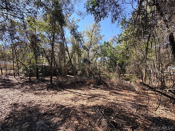 3rd image of 3910 E Scotty St