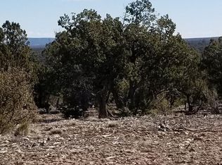 4367 Sunset Ridge Loop, Happy Jack, AZ 86024
