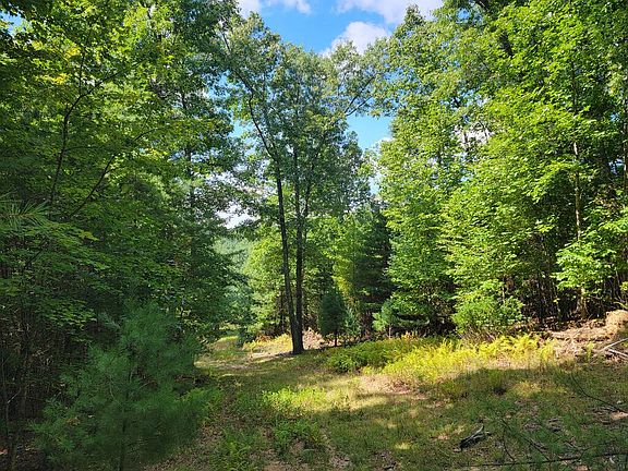 4th image of Echo Ridge Ln