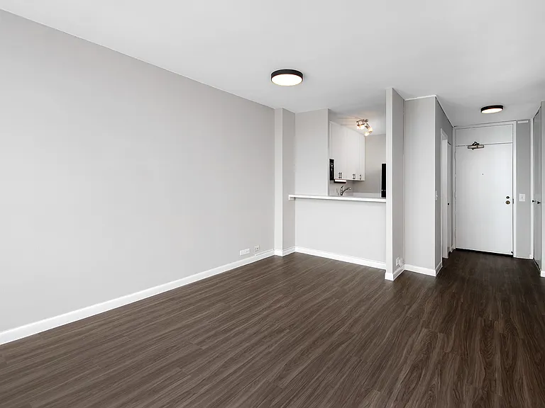 3450 N. Lake Shore Drive — Photo 33