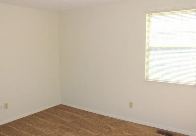 7539 Pomeranian Dr — Photo 4