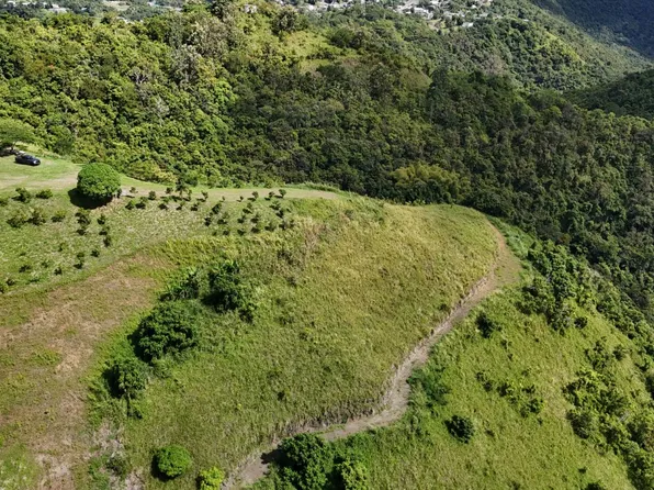 Bo Rio Hondo Carr 156 Km #2.5-hm 29.4, Comerio, PR 00782