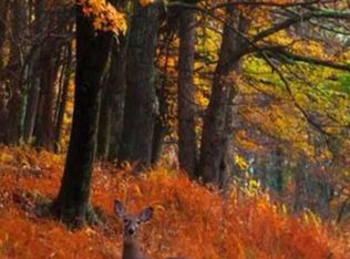 Skiba Rd, Gallatin, NY 12567