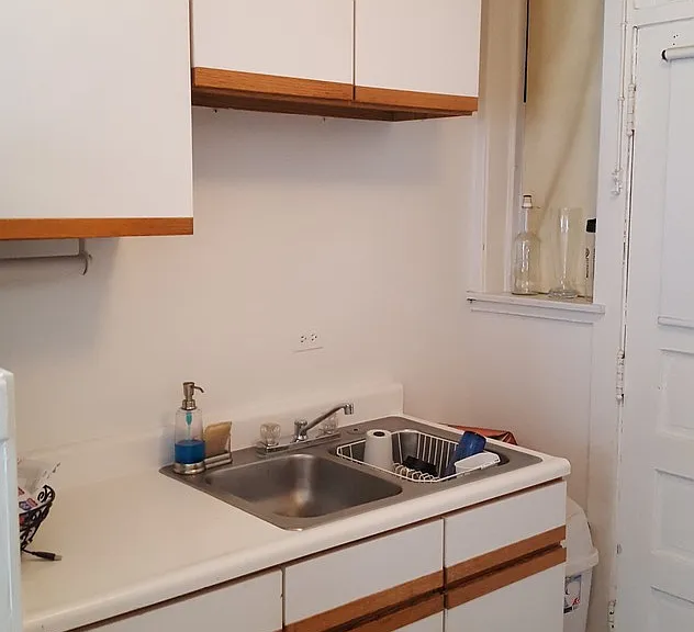 1064 W Cornelia Ave #2 — Photo 8