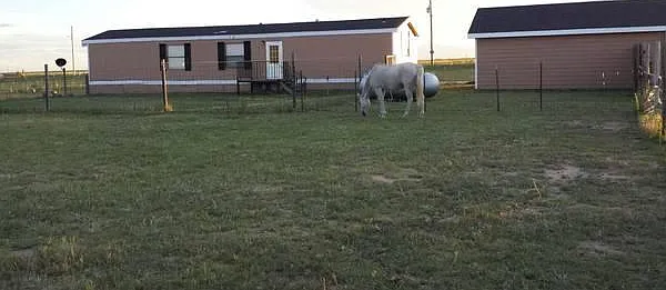 Optional, Small Pasture out back for up to two horses.