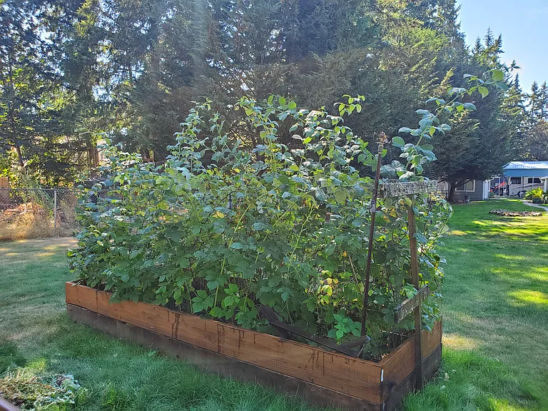 SE 245th Pl — Photo 17