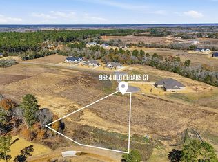 9654 Old Cedars Ct, Plantersville, TX 77363