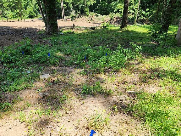4th image of 143 Forrester Hollow Ln Lot 22