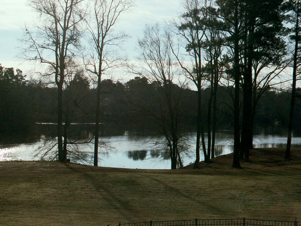 Backyard view