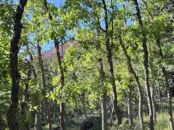 A4 Wonderland Vis, Duck Creek Village, UT 84762