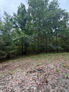 V/l 10ac Oakhaven Dr, Afton, MI, 49705