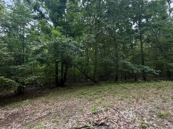 V/l 10ac Oakhaven Dr, Afton, MI 49705