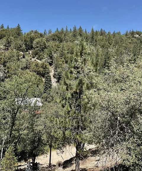 32926 Upper Boulder Rd — Photo 4