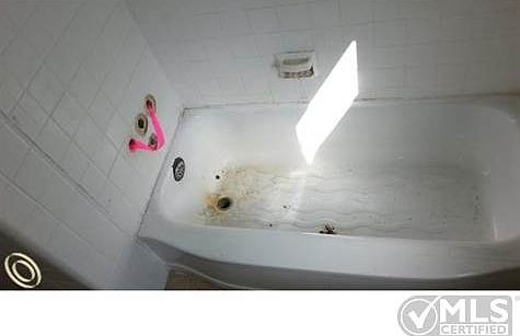 Bathtub.jpg