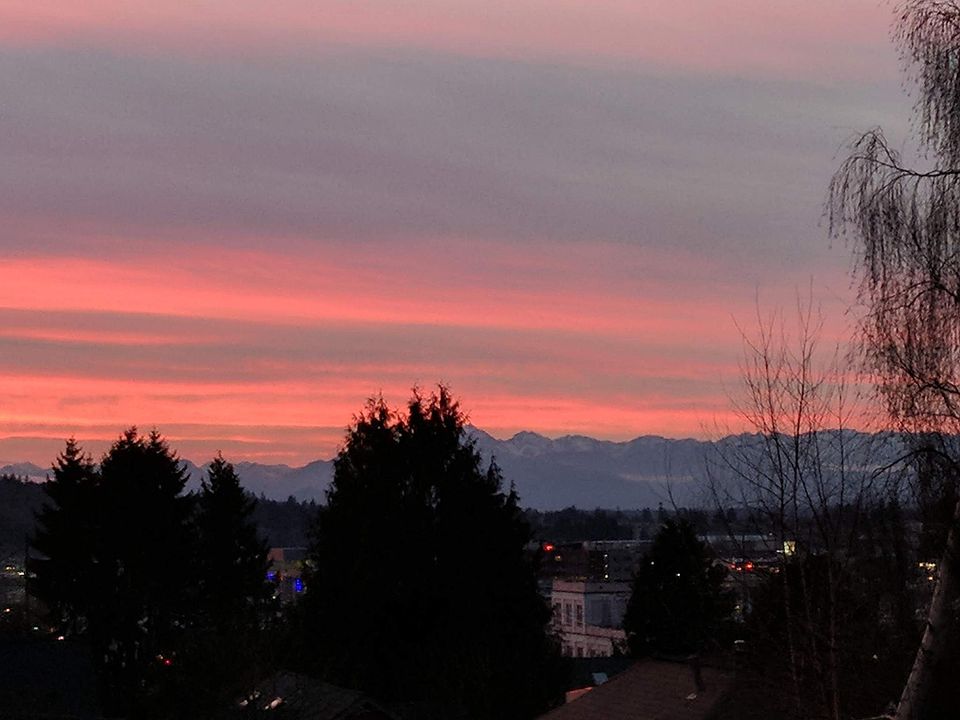 view from deck
