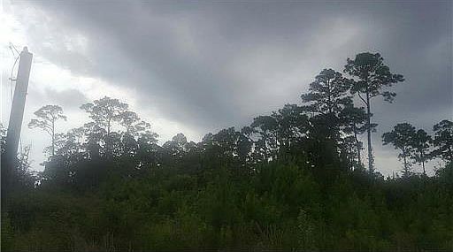 3rd image of 301 Parkview Ln