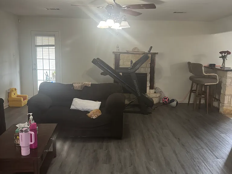 10821 Snow Pea Dr — Photo 3