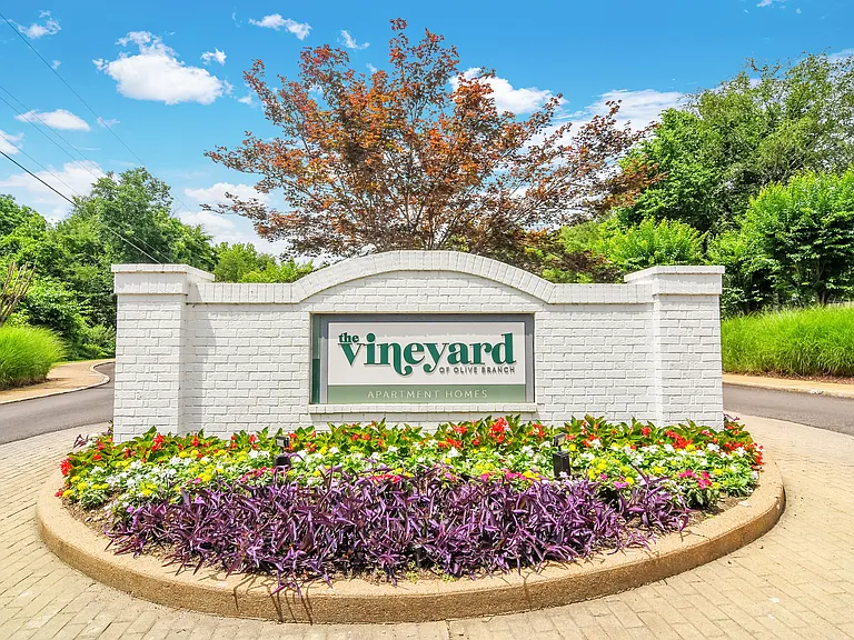 The Vineyard of Olive Branch Apartment Homes — Photo 32