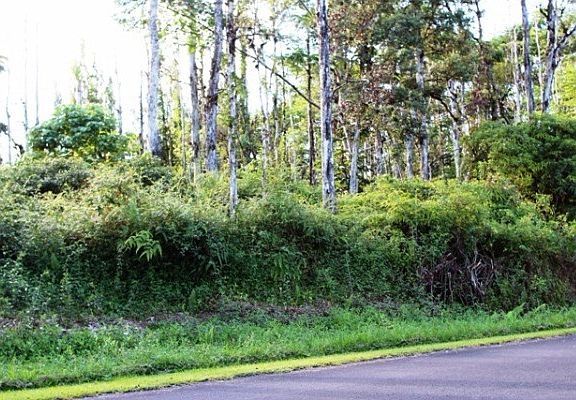 3rd image of 13-3556 Kupono St Lot 49