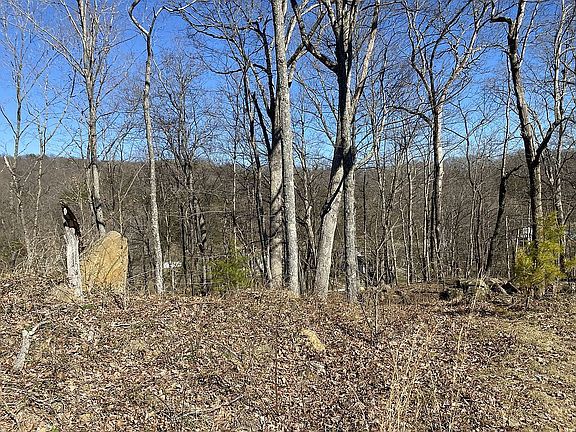 5th image of 1092 Duck Run Rd