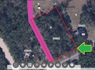 203 Whispering Pines Rd, Georgetown, FL 32139