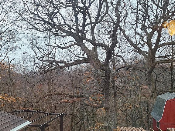 View from back window