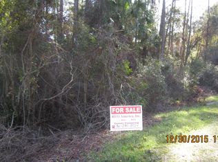 217 Hazel Ave, Georgetown, FL 32139