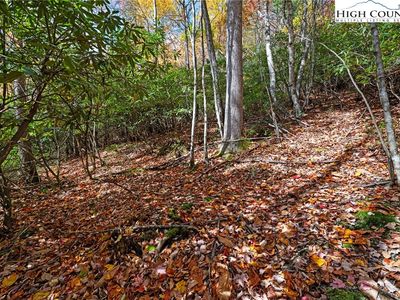 244 Poplar Drive, Banner Elk, NC, 28604