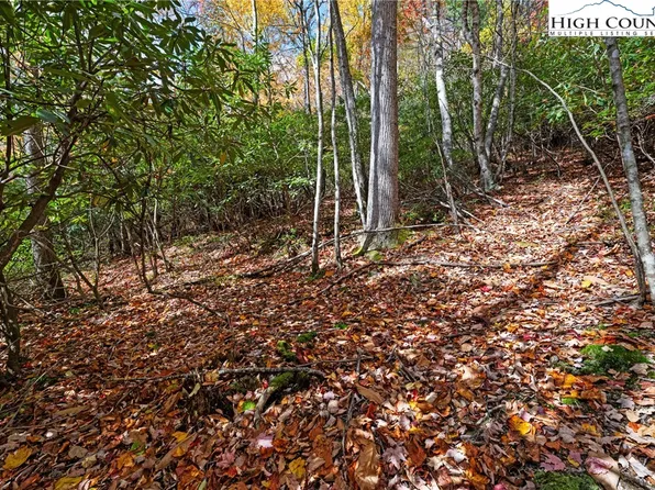 244 Poplar Drive, Beech Mountain, NC 28604