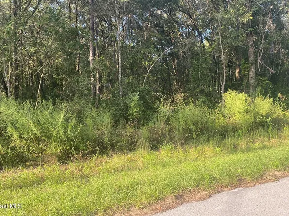 3683 E Baxley Pl, Inverness, FL 34453