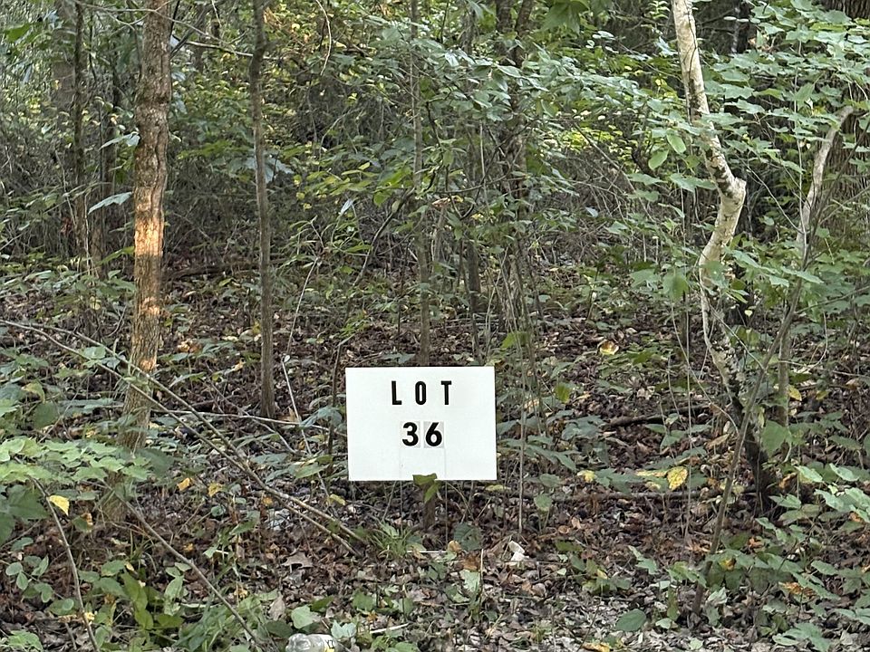 2nd image of 0 Shiloh Rd Lot 36