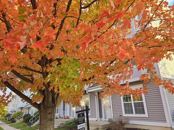 7137 Discovery Ln, Madison, WI 53719