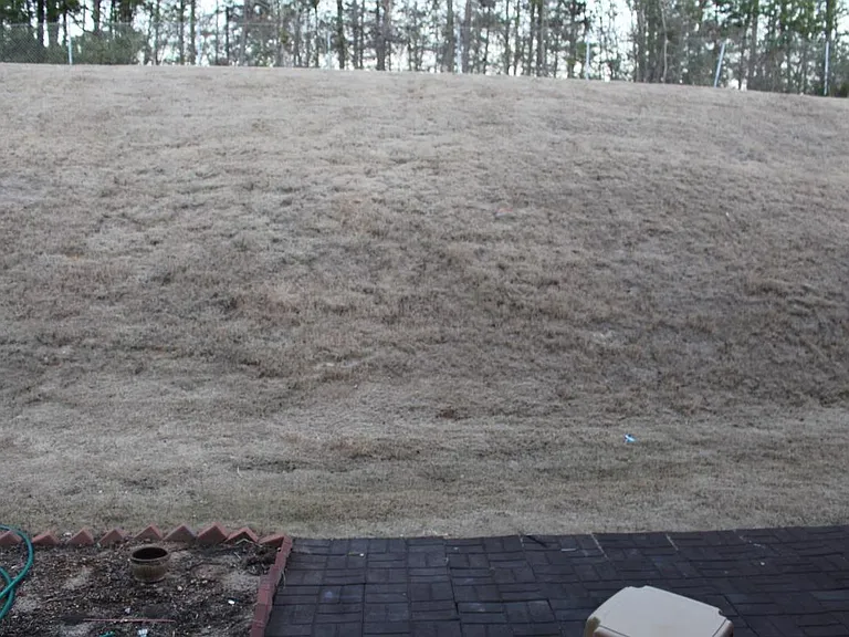 417 Christiane Way — Photo 18