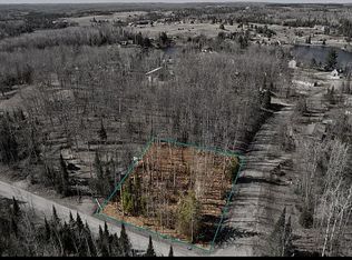 0 Lance Lake Rd LOT 58, Wolverine, MI 49799