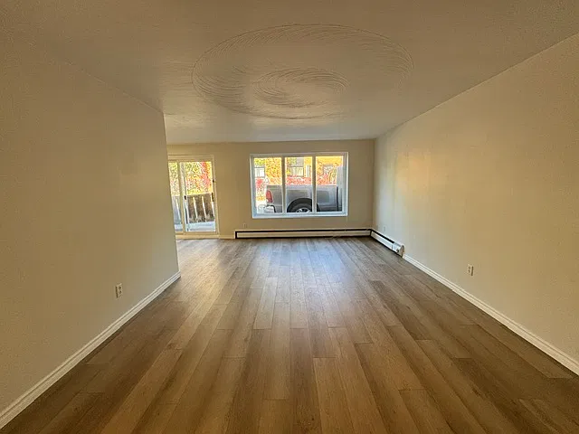 236 Louisa Street Kitchener — Photo 2