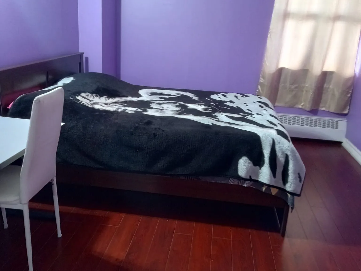 1 bed, $1,000 — Photo 2