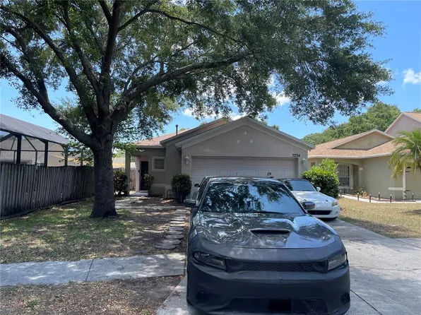 7234 Bellingham Oaks Blvd, Tampa, FL 33634