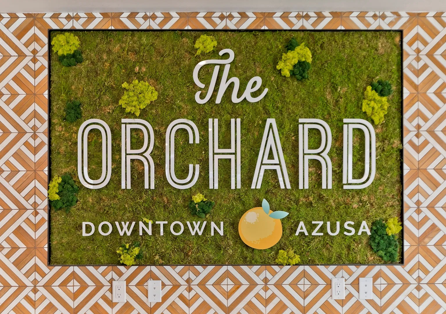 The Orchard — Photo 3